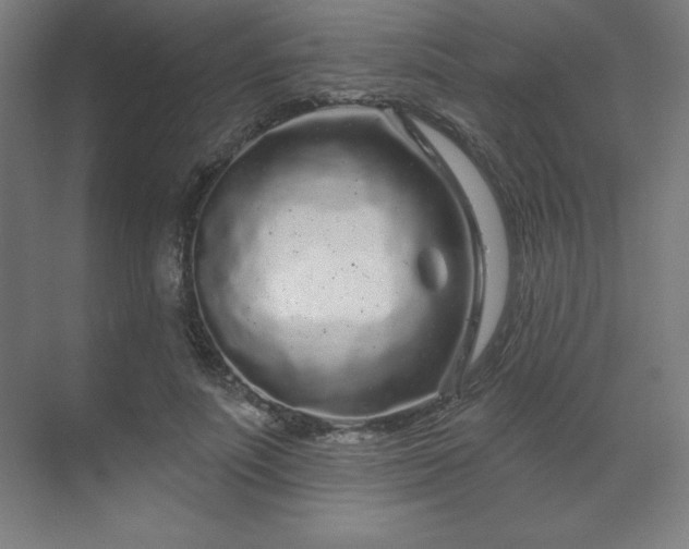 X0000070200691200606021230