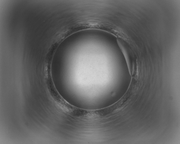X0000070200696200606021229