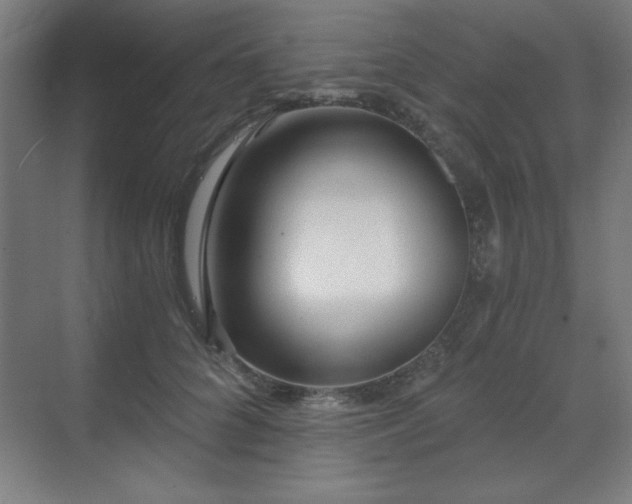 X0000070200704200606021229