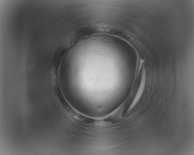 X0000070200707200606021229