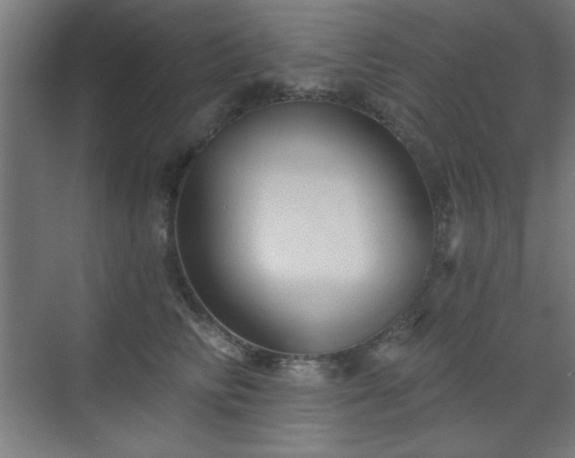 X0000070200710200606021229