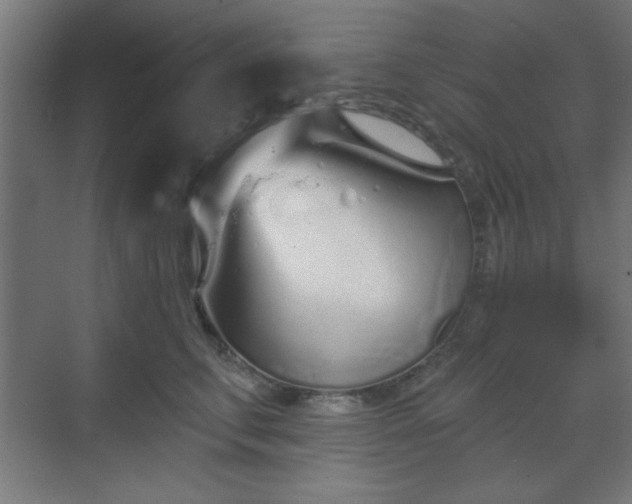 X0000070200711200606021229