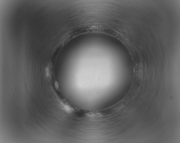 X0000070200712200606021229