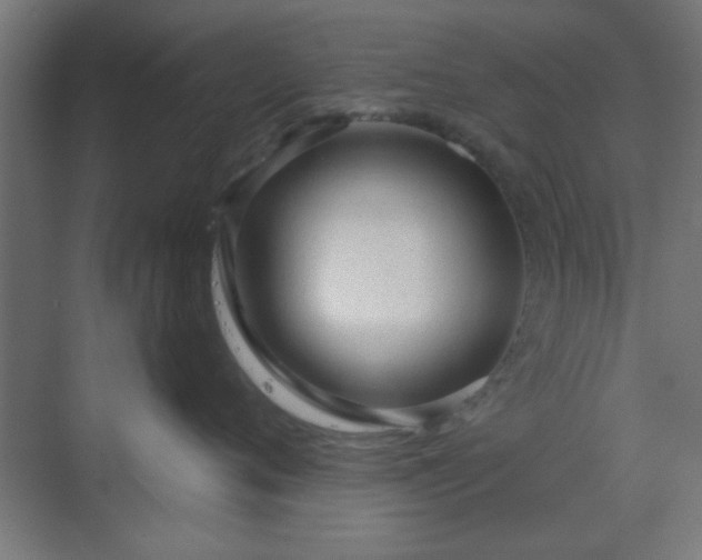 X0000070200720200606021229