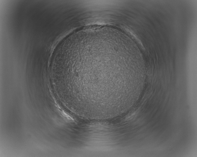 X0000070200721200606021228