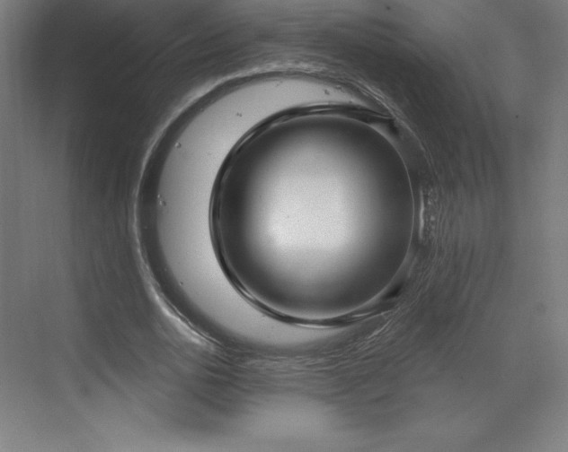 X0000070200726200606021228