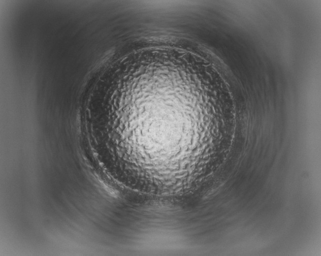 X0000070200729200606021228