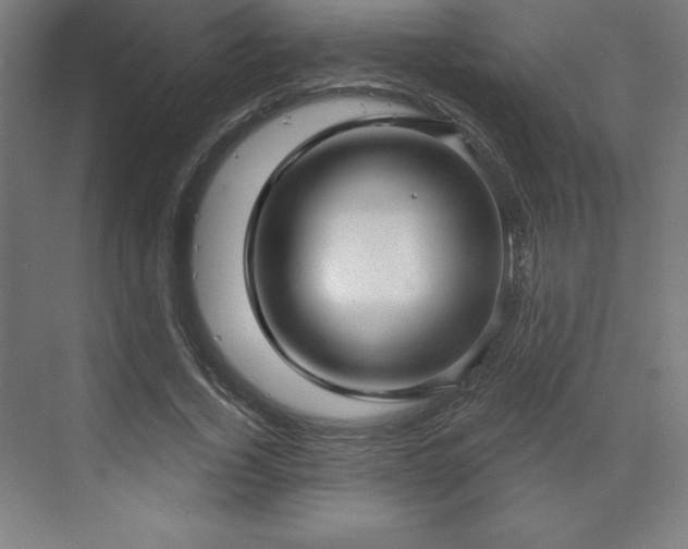 X0000070200732200606021228