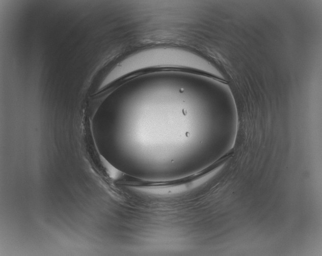 X0000070200735200606021228