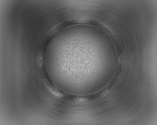 X0000070200741200606021229