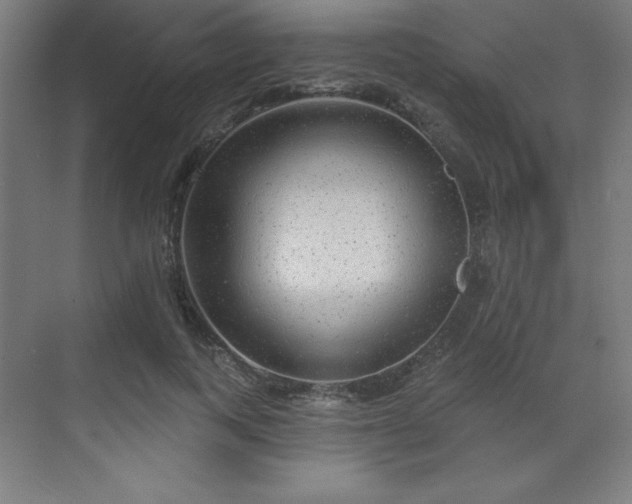 X0000070200743200606021229