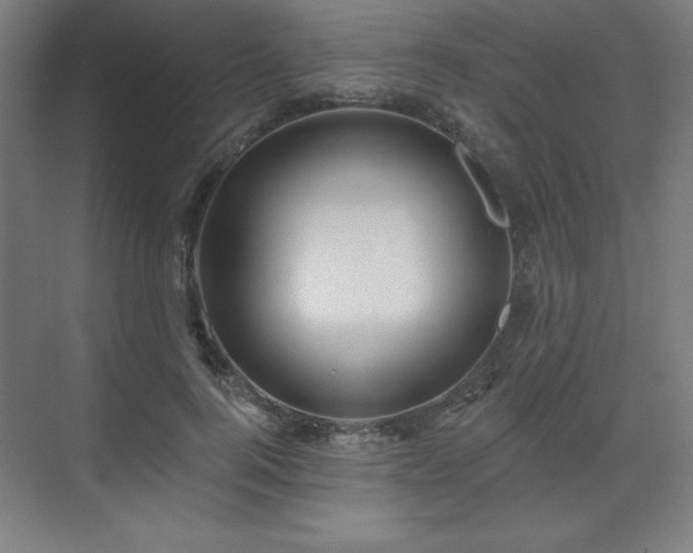 X0000070200744200606021229