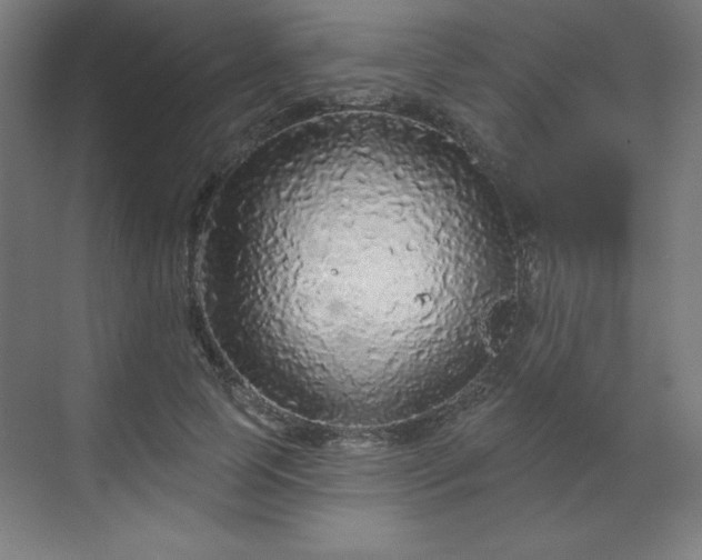 X0000070200745200606021229