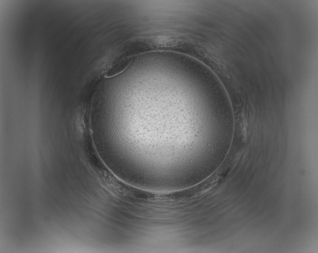X0000070200746200606021229