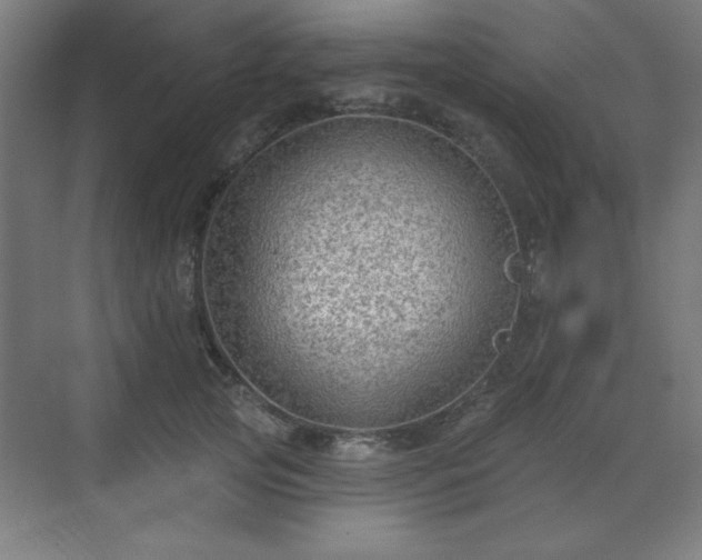 X0000070200753200606021229