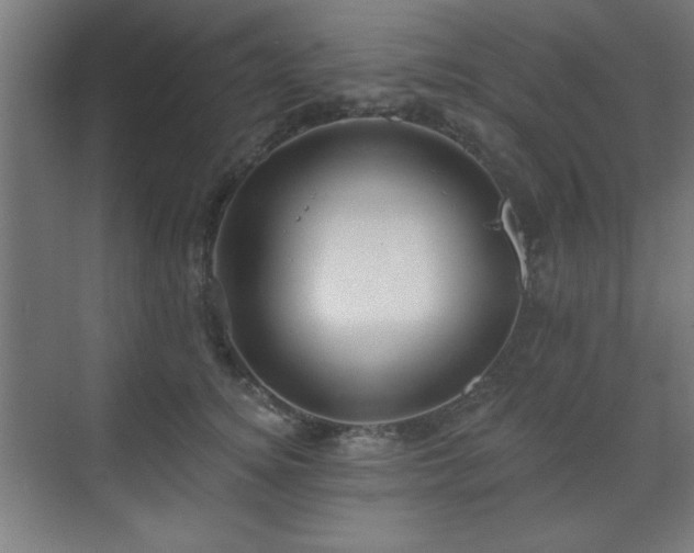 X0000070200756200606021229