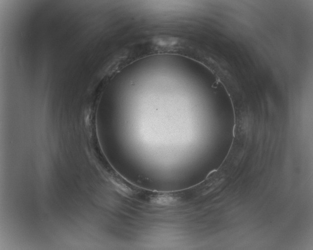 X0000070200759200606021229