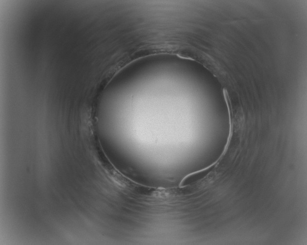 X0000070200764200606021229