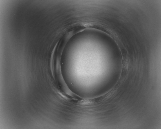 X0000070200766200606021229