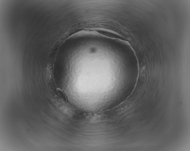 X0000070200772200606021228