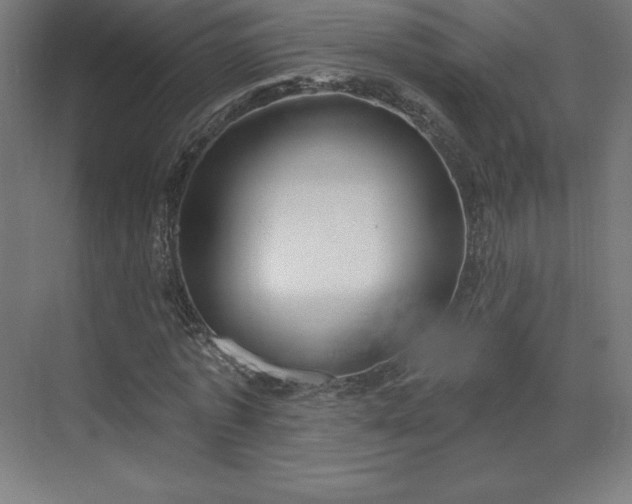 X0000070200773200606021228