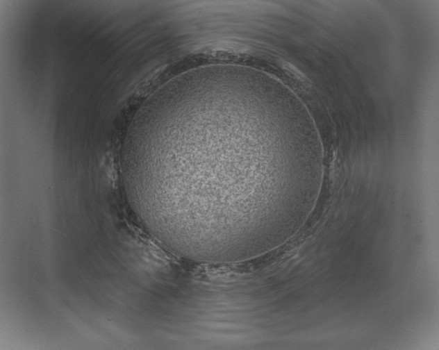 X0000070200774200606021228