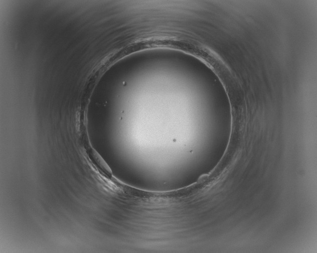 X0000070200777200606021228