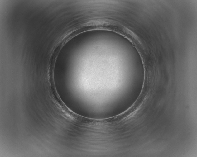 X0000070200778200606021228