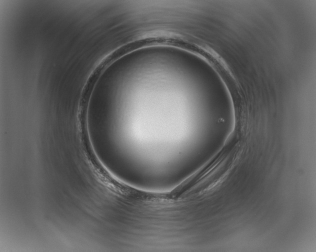 X0000070200783200606021228