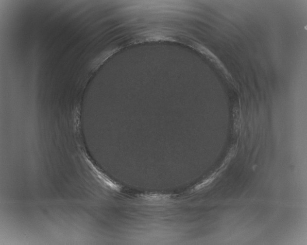 X0000070200785200606021228