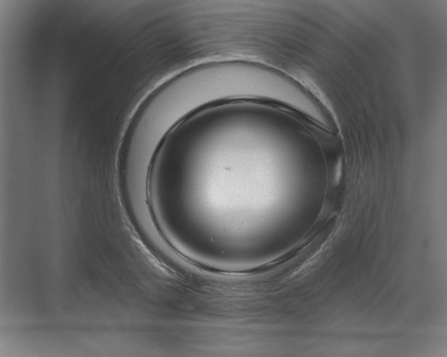 X0000070200789200606021228