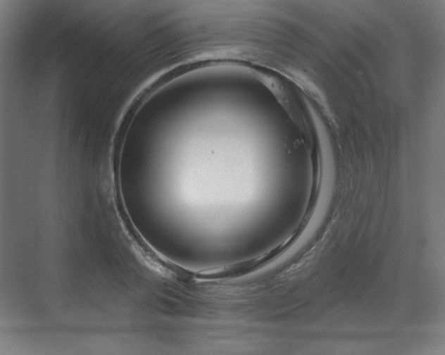 X0000070200792200606021228