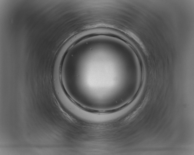 X0000070200793200606021228