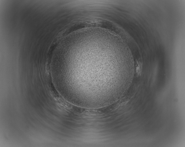 X0000070200819200606021227