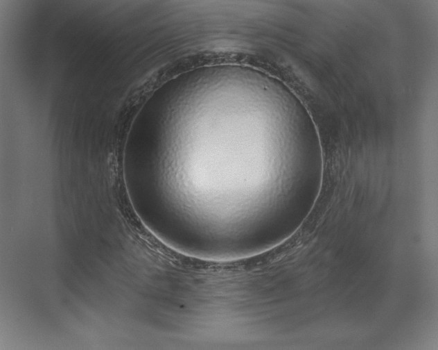 X0000070200821200606021227