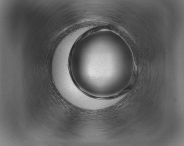 X0000070200822200606021227