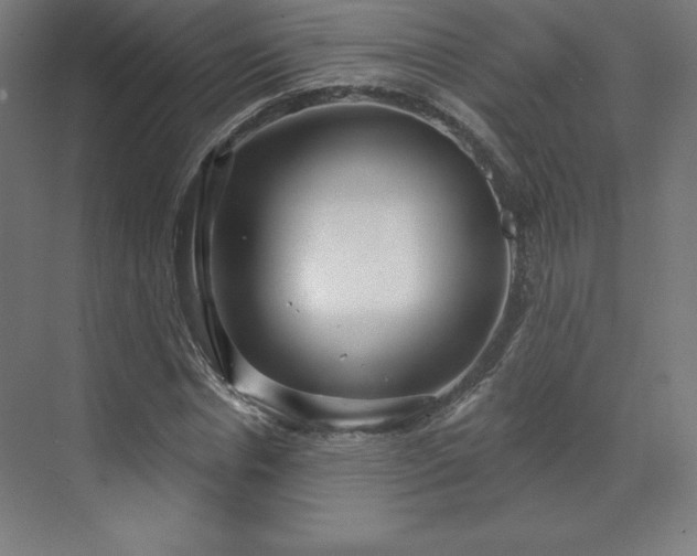 X0000070200826200606021227