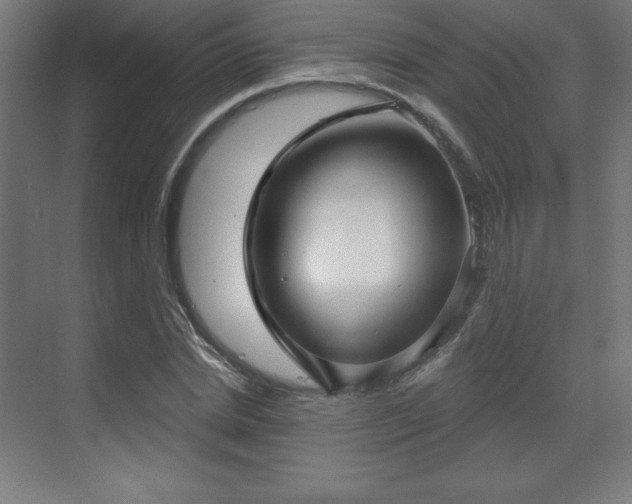 X0000070200830200606021227