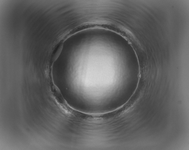 X0000070200833200606021227