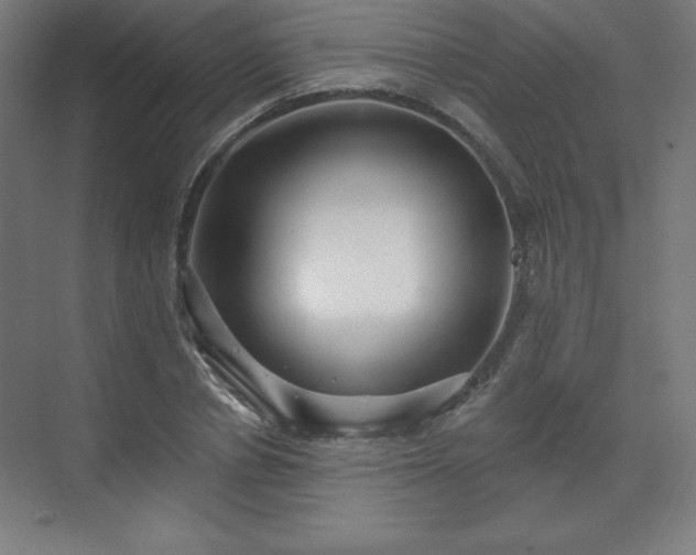X0000070200834200606021227