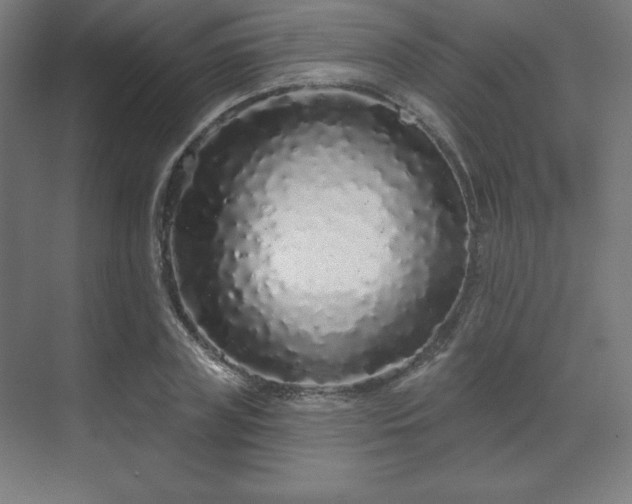 X0000070200835200606021227