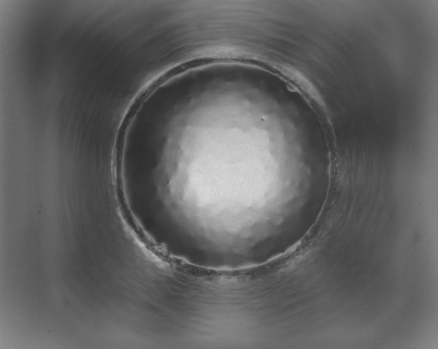 X0000070200839200606021227