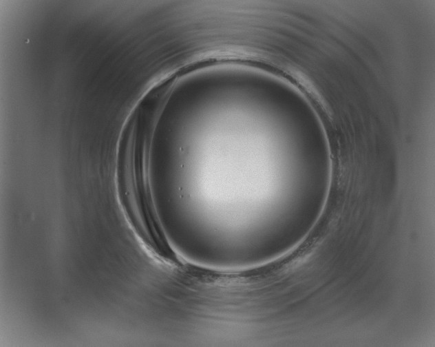 X0000070200845200606021227