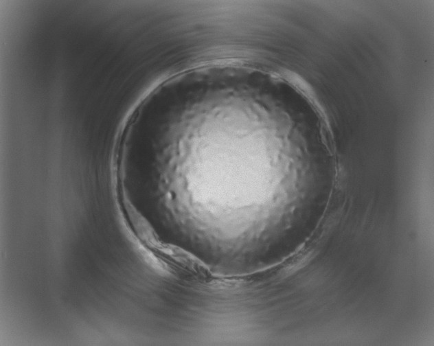 X0000070200859200606021227