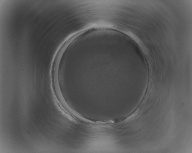 X0000070200864200606021227