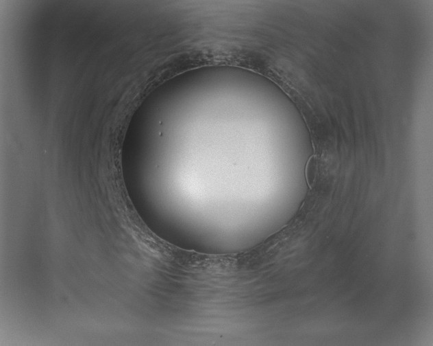X0000070200865200606021227
