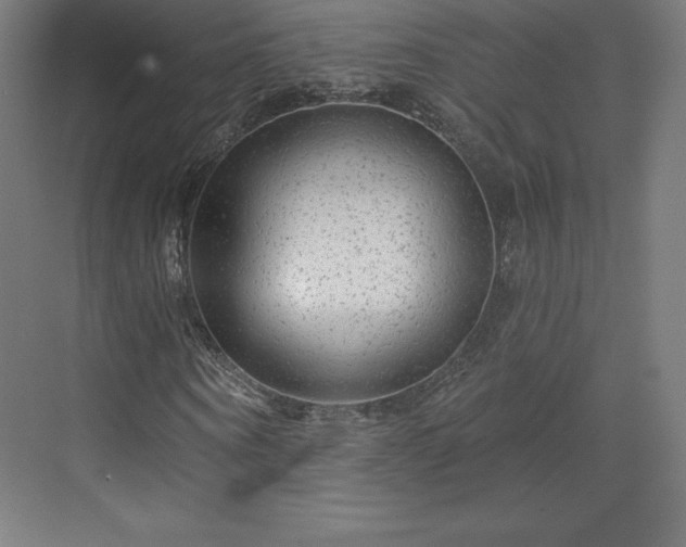 X0000070200866200606021227