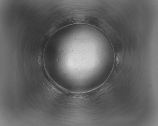 X0000070200867200606021227
