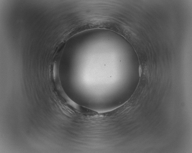 X0000070200868200606021227