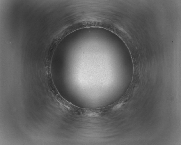 X0000070200870200606021227